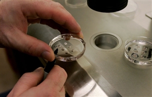 A doctor prepares eggs and sperm at a fertility clinic.