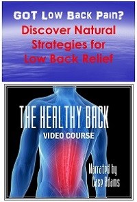 The Healthy Back - low back pain