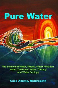Pure Water by Case Adams